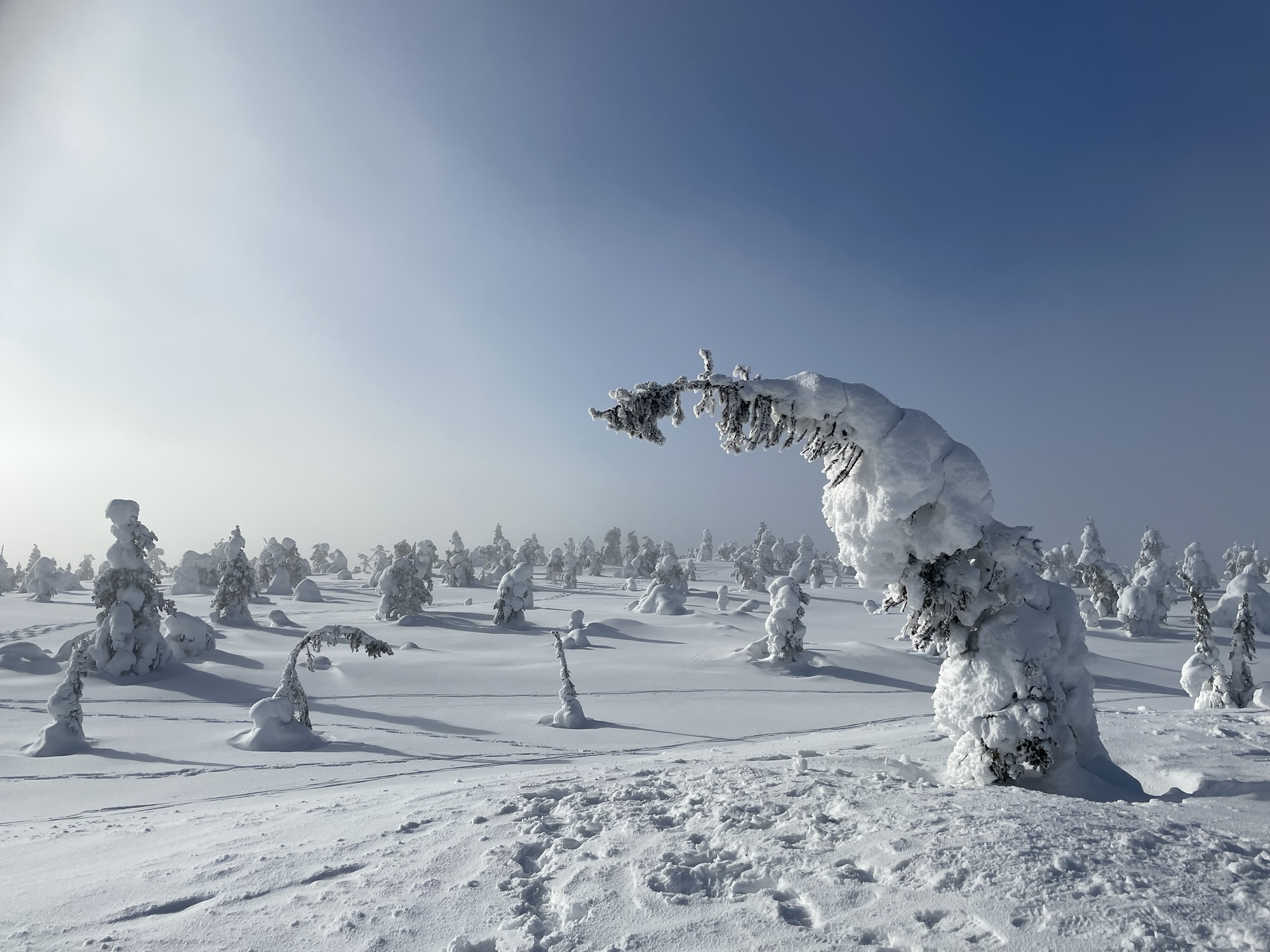 Top tips for Preparing for Crises when Traveling